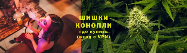 PSILOCYBIN Верхний Тагил