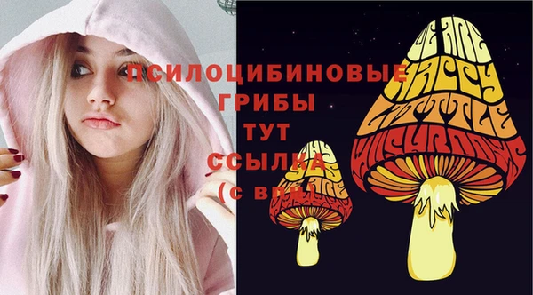 МДПВ Сосновый Бор