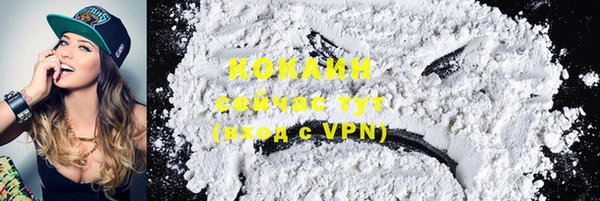 PSILOCYBIN Верхний Тагил