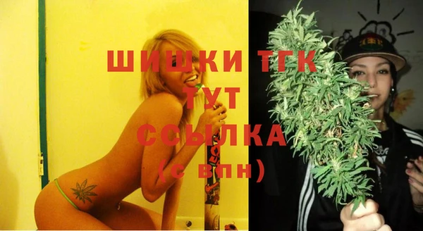 PSILOCYBIN Верхний Тагил